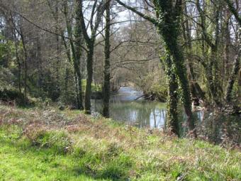 Two hectares by the river Coura Vieira Do Minho